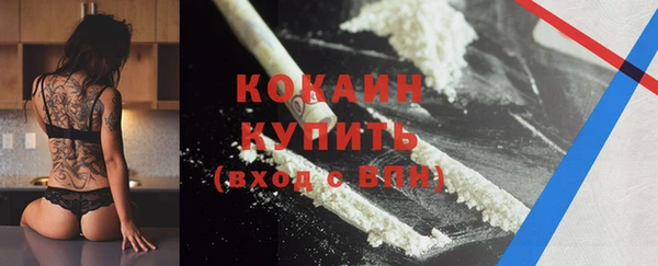 твердый Абаза