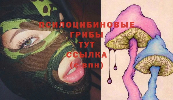 твердый Абаза
