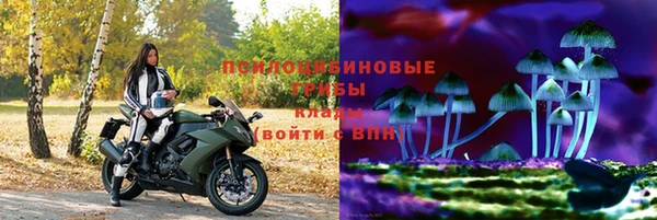 дживик Алзамай