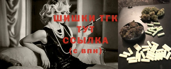 индика Приозерск